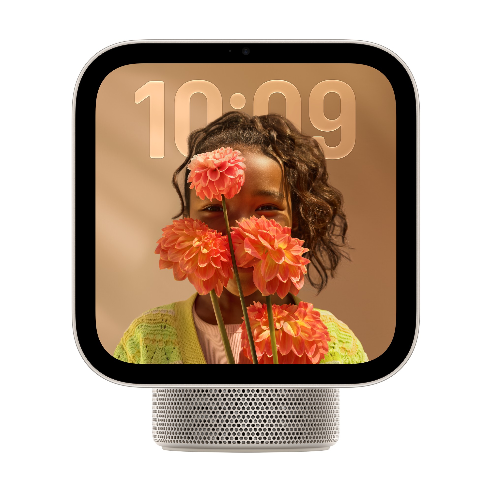 Apple HomeView